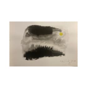 #54 - Aquarelles item