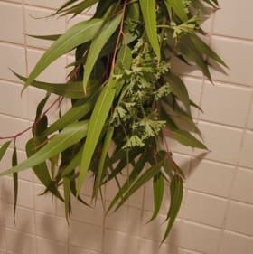 Shower Swagger item