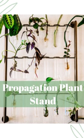 Propogation Stand item