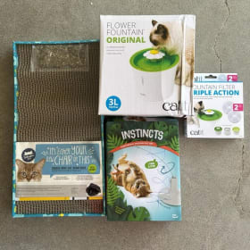 Play & Hydrate Cat Bundle item