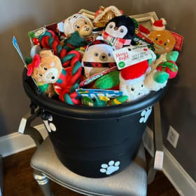 Dog Toy Bucket item
