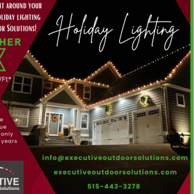 Holiday Lighting item