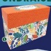 All Occasion #1 Box #645985 (30 Cards) item