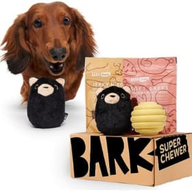 Item #1: 1 Free Bark Box- Digital Gift Certificate item