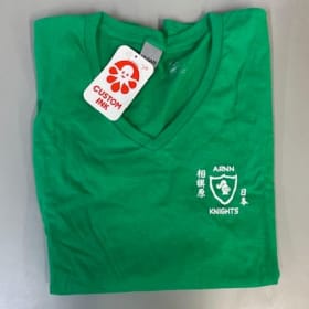 VINTAGE GREEN VNECK 2XL item