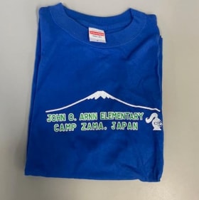 VINTAGE BLUE FUJI SMALL item