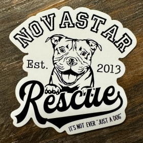 NovaStar Sticker- Original Design item
