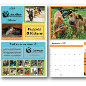 2025 Puppies and Kittens Calendar (SHIPPING INCLUDED) item