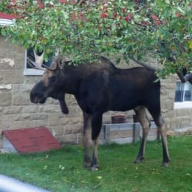 Weekend Retreat item