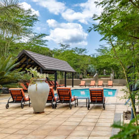 Zulu Nyala South African Photo Safari item