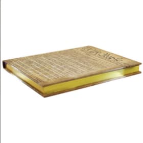 "We the People" Journal item