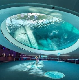 3. Frost Science Center Family Membership item