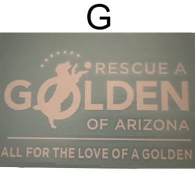 G - RAGofAZ Vinyl Press-on 7.5" x 12" item