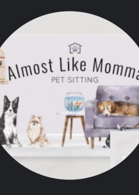Almost Like Momma Pet Sitting for one day/overnight item