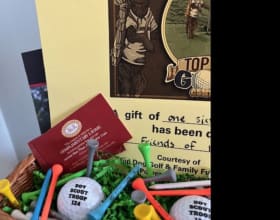 Hit the Links item