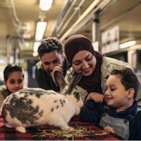 (1of2) Ottawa Ingenium Fun ($80) item