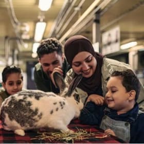 (2of2) Ottawa Ingenium Fun ($80) item