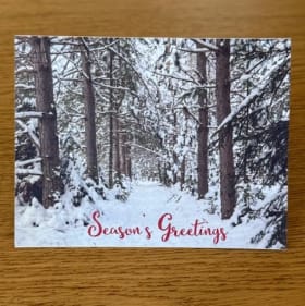 12 Card Pack of FONSP Holiday Cards w/ Envelopes item