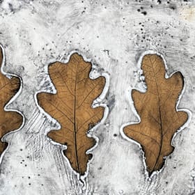 5 Leaves - Tiffany Crowder item