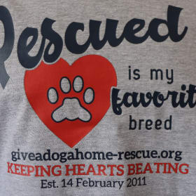 SMALL - Sport Grey T-shirt - Rescue'd - Navy Font item