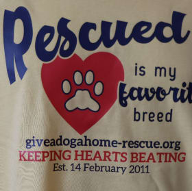 X Large - Sunset Gold T-shirt - Rescue'd - Navy Font item