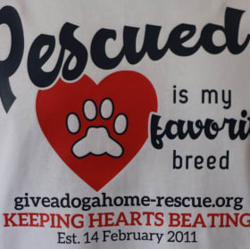 X Large - White T-shirt - Rescue'd - Navy Font item