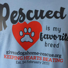 X Large - Carolina Blue T-shirt - Rescue'd - Navy Font item