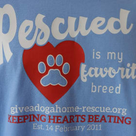 XXL - Carolina Blue T-shirt - Rescue'd - White Font item