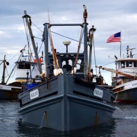 Copps Island Oyster Boat Tour for 12 Guests & Oyster Tasting item