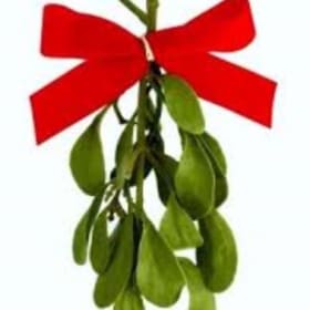 Merry Mistletoe item