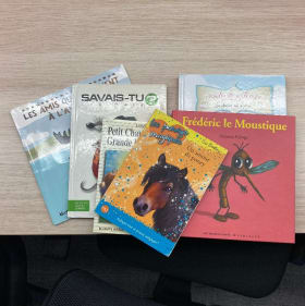 Lot de 6 livres dernière minute item