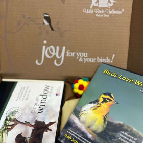 The Feathered Friends Feline Set item