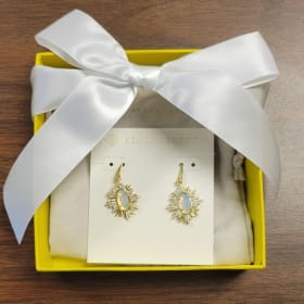 Kendra Scott Earrings item