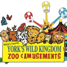 2 Passes to York's Wild Kingdom item