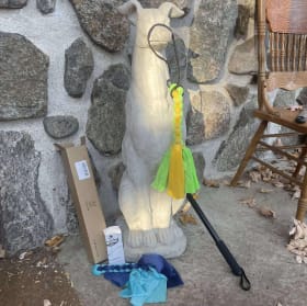 Bâton de flirt pour chien item