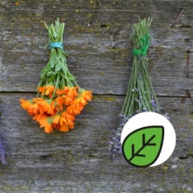 Éveillez vos sens ! item