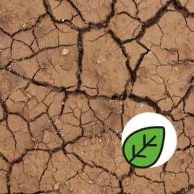 Les changements climatiques item