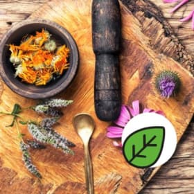 Les plantes médicinales item