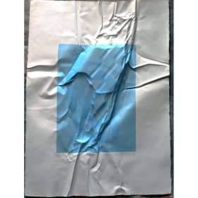 The Progress Paradigm item