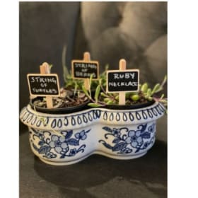 “Strings of Things” plant basket. item