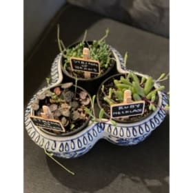 “Strings of Things” plant basket. item