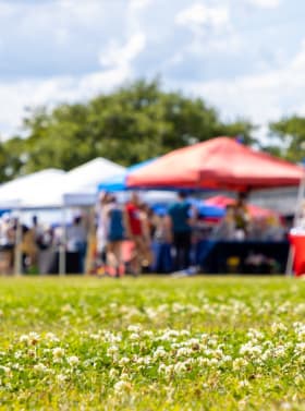 Vendor - Non-profit item