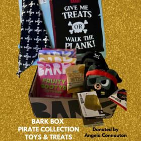 Bark Box Pirate Collection Toys & Treats item