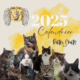 Calendrier 2025 item