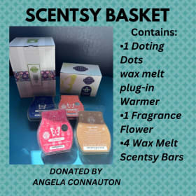 Scentsy Gift Bundle item