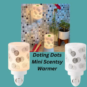 Scentsy Gift Bundle item