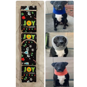 Festive Dog Collar & Knitwear item