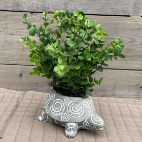 Cache-pot tortue item