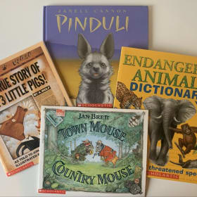 Picture Book Bundle item