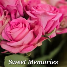 Sweet Memories 3 Rose Bundle item
